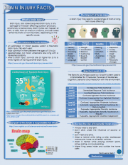 Brain Injury - Shepherd Connection